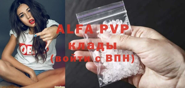 дживик Мегион