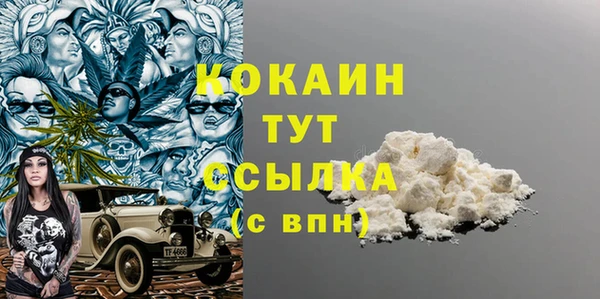 дживик Мегион