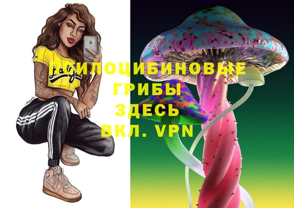 бутират Михайлов
